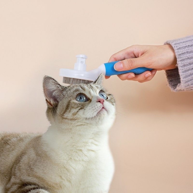 Escova Removedora - Tira Pelos Para Pets